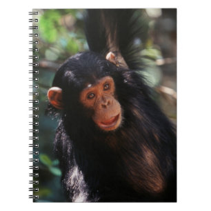jonge chimpansee notitieboek