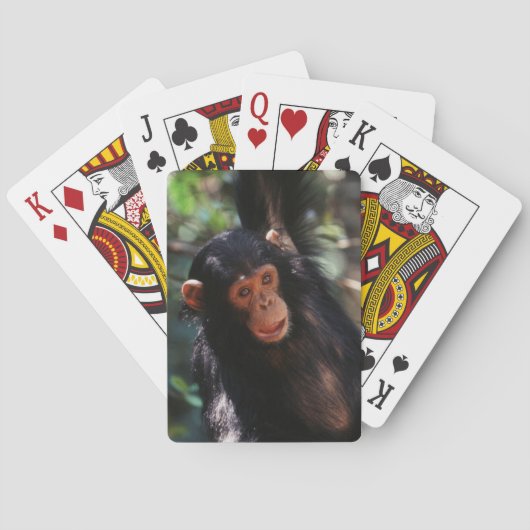 jonge chimpansee pokerkaarten (Achterkant)