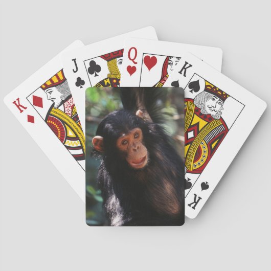 Jonge chimpansee pokerkaarten (Achterkant)