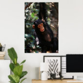 Jonge chimpansee poster (Thuiskantoor)