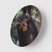 Jonge chimpansee ronde klok (Hoek)
