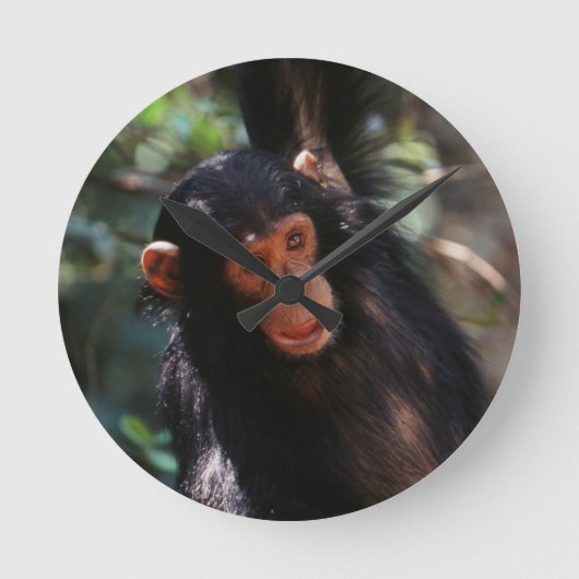 Jonge chimpansee ronde klok (Voorkant)