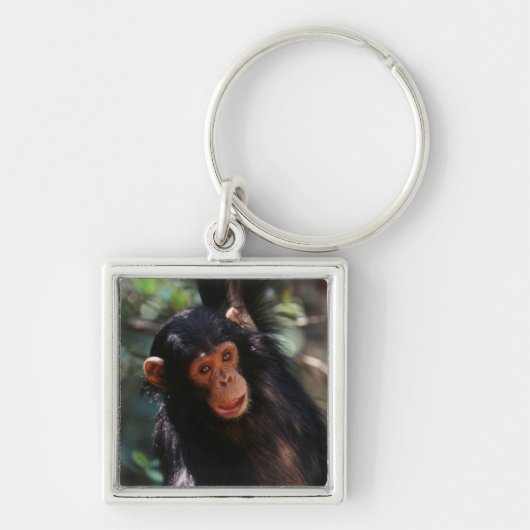 jonge chimpansee sleutelhanger (Voorkant)