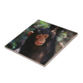 Jonge chimpansee tegeltje (Zijkant)