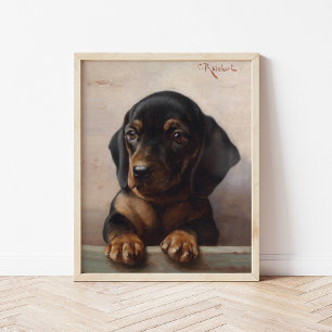 Jonge Dachshund   Carl Reichert Poster