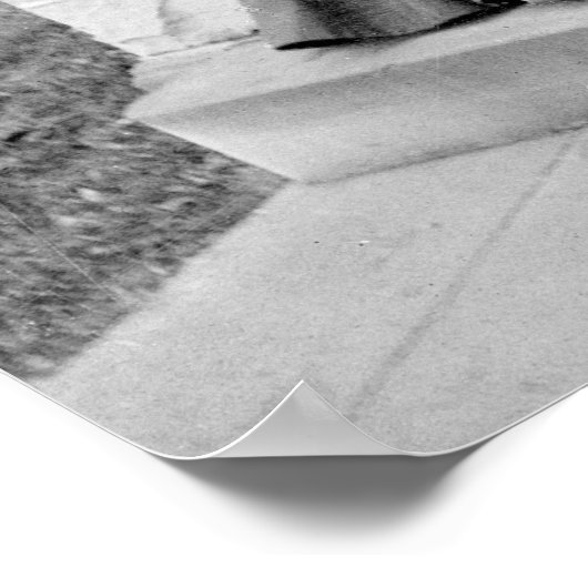 Jonge dames bij Fisk, jaren 1890 Poster (Hoek)