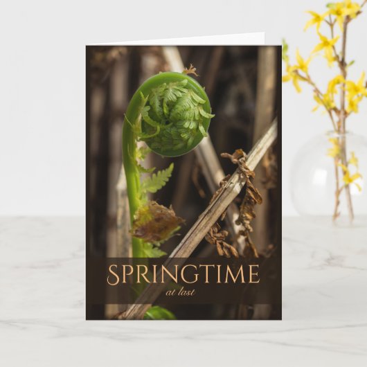 Jonge de varen toenemende Mooie natuur CC0920 van Kaart (Gele Bloem)