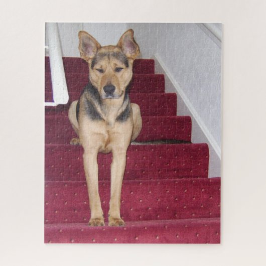 Jonge Duitse Herdershond Zittend op Trap 16x20 Legpuzzel (Verticaal)