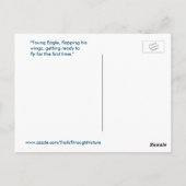 Jonge Eagle flapping vleugels Spiegeland Briefkaar Briefkaart (Achterkant)