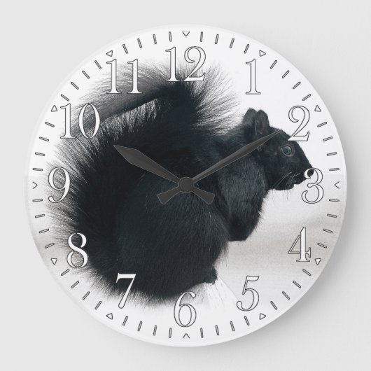 Jonge eekhoorn op Winterfoto Grote Klok (Voorkant)