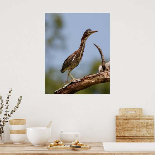 Jonge Een Poster (Keuken)