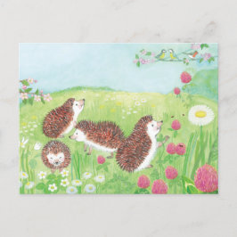 Jonge egel in de Meadow Briefkaart