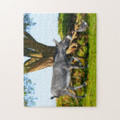 Jonge Eno en Henri puzzel (Verticaal)