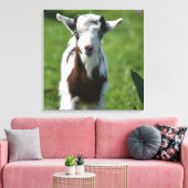 Jonge Geit foto Canvas Afdruk (Insitu (Woonkamer))