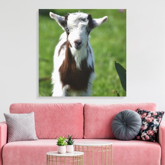 Jonge Geit foto Canvas Afdruk (Insitu (Woonkamer))