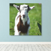 Jonge Geit foto Canvas Afdruk (Insitu (Houten vloer))