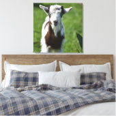 Jonge Geit foto Canvas Afdruk (Insitu (Slaapkamer))