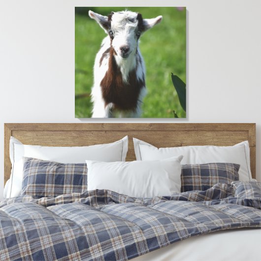 Jonge Geit foto Canvas Afdruk (Insitu (Slaapkamer))