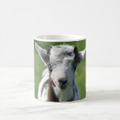 Jonge Geit foto Koffiemok (Center)