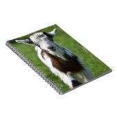Jonge Geit foto Notitieboek (Rechterzijde)