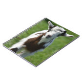 Jonge Geit foto Notitieboek (Linkerzijde)
