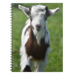 Jonge Geit foto Notitieboek