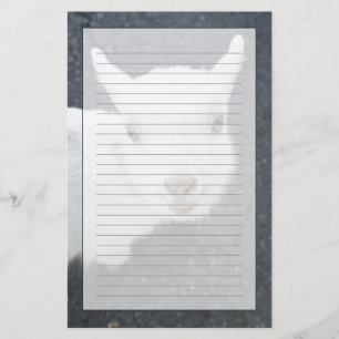 Jonge geiten briefpapier