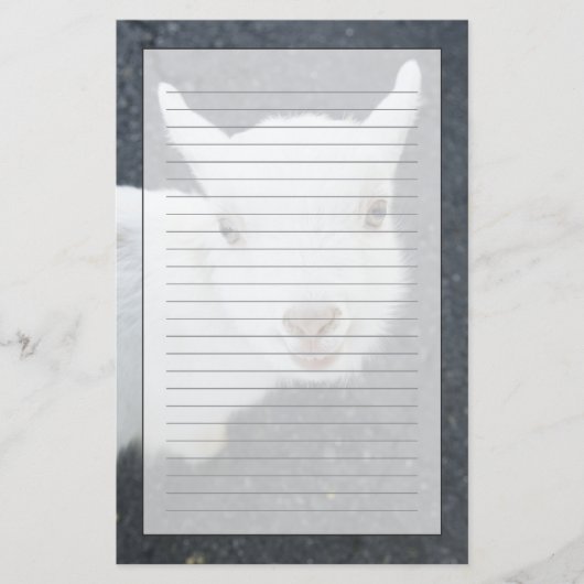 Jonge geiten briefpapier (Voorkant)