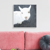 Jonge geiten canvas afdruk (Insitu (Woonkamer))