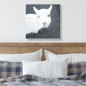 Jonge geiten canvas afdruk (Insitu (Slaapkamer))