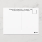 Jonge geiten genieten van de zon briefkaart (Achterkant)