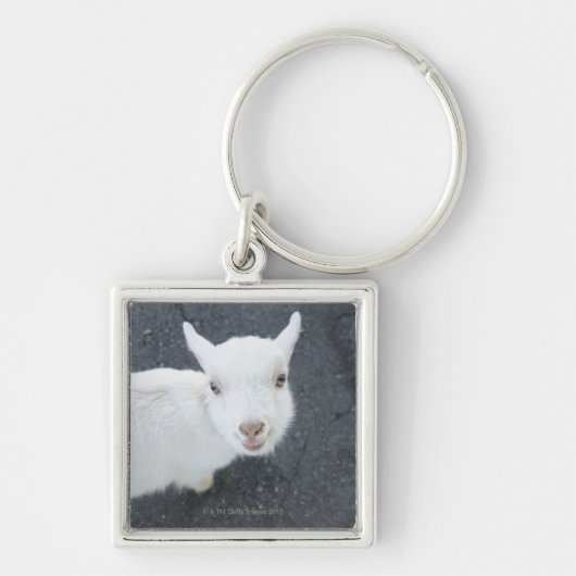 Jonge geiten sleutelhanger (Voorkant)