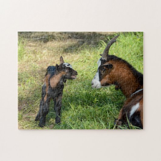 Jonge geitenlam legpuzzel (Horizontaal)