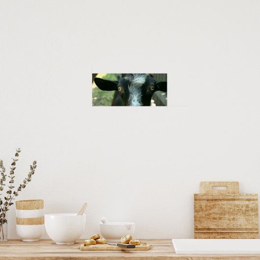 Jonge geitenpoep. poster (Keuken)