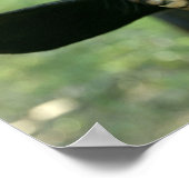 Jonge geitenpoep. poster (Hoek)