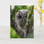 Jonge geitenuil kaart (Gele Bloem)