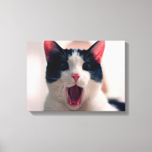 Jonge, gekke verraste kat die grote ogen trekt canvas afdruk