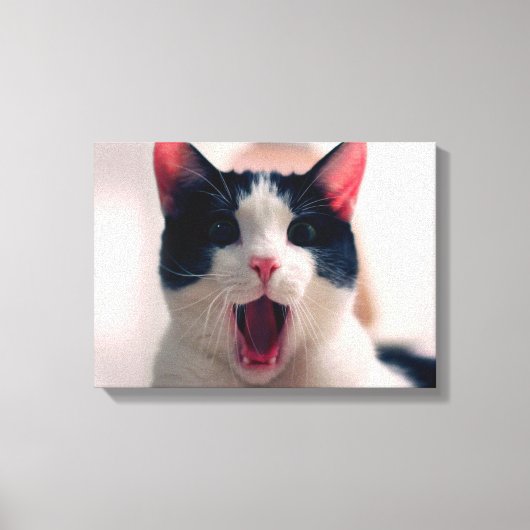 Jonge, gekke verraste kat die grote ogen trekt canvas afdruk (Voorkant)