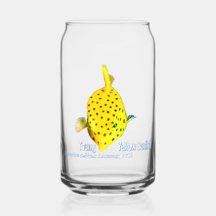 Jonge Gele Boxfish Blikvorm Glas