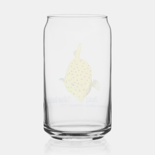 Jonge Gele Boxfish Blikvorm Glas (Achterkant)
