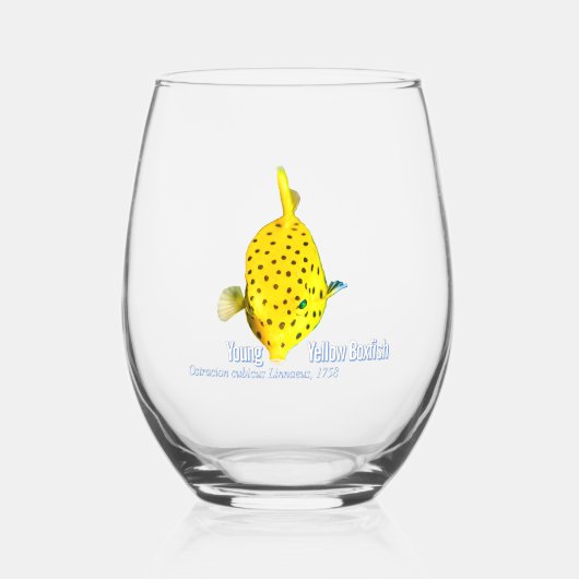 Jonge Gele Boxfish Wijnglas Zonder Voet (Voorkant)