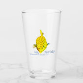 Jonge Gele Koetsvis Glas (Voorkant)