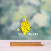 Jonge Gele Kofferkvis Acryl Bord (Neutraal)