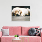 Jonge gele labrador puppy Slaap lekker Canvas Afdruk (Insitu (Woonkamer))