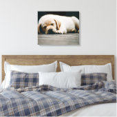 Jonge gele labrador puppy Slaap lekker Canvas Afdruk (Insitu (Slaapkamer))