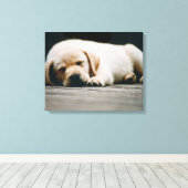 Jonge gele labrador puppy Slaap lekker Canvas Afdruk (Insitu (Houten vloer))