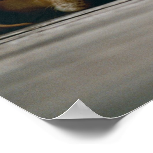 Jonge gele labrador puppy Slaap lekker Poster (Hoek)