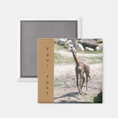 Jonge Giraffe Wandelende Jouw tekst Magneten (Voorkant / Achterkant)