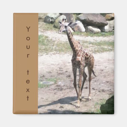 Jonge Giraffe Wandelende Jouw tekst Magneten (Voorkant)
