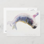 Jonge grijze zeehond Gweek 2003 Briefkaart (Voorkant / Achterkant)
